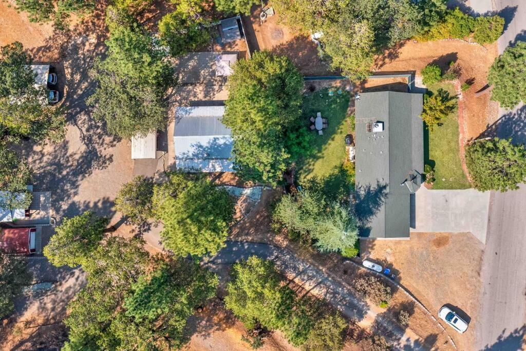 Acorn Cottage - Hidden Gem In Green Heaven, Getaway To Bass Lake & Yosemite Окхерст Экстерьер фото